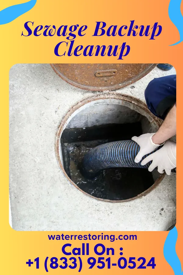 Sewage Backup Cleanup in Riverside, IA