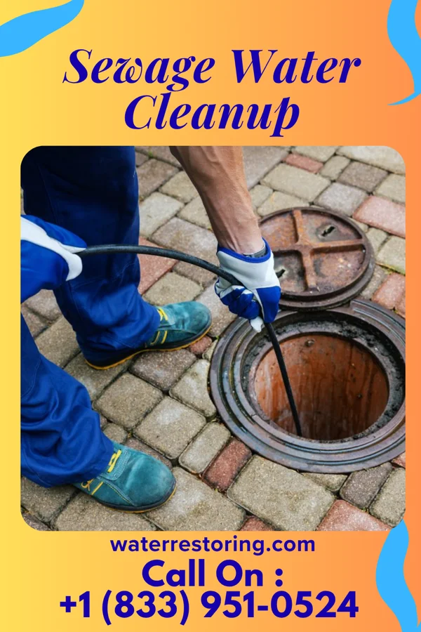 Sewage Water Cleanup in Riverside, IA