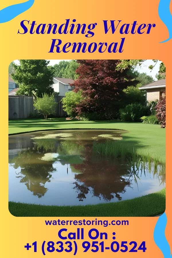 Standing Water Removal in Riverside, IA